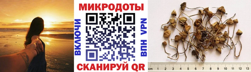 Псилоцибиновые грибы прущие грибы  Норильск 